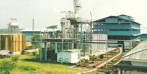 Berdiri pada tahun 1981 dengan nama PT Kurnia Kapuas Glue Industries yang bergerak di bidang produksi adesif kayu.